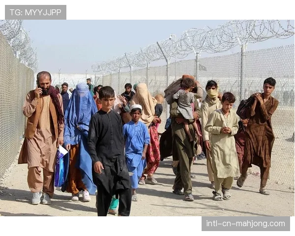 特写：阿富汗难民出身的板球运动员首次入选国家队