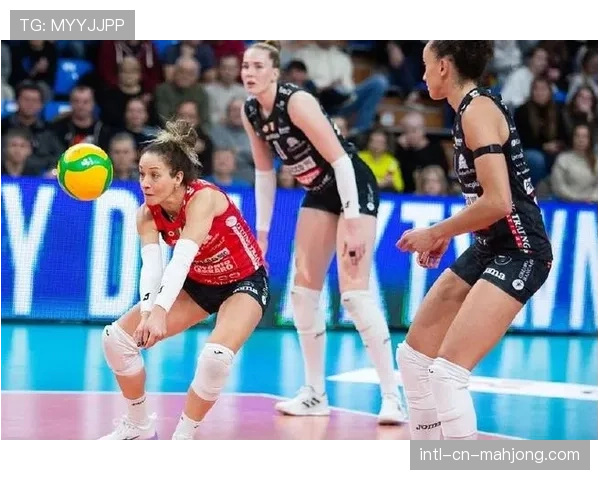 德甲女排决赛，斯图加特女排击败德累斯顿夺冠